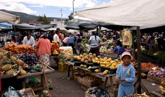 Free-Time-Market-in-Ecuador